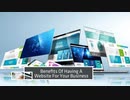 Ecommerce Website Consultant