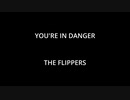 YOU'RE IN DANGER  - THE FLIPPERS