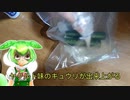 キュウリのヤクルト漬け