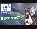きりたんと行く新潟フィッシング　part4　春のアジ！投げサビキ
