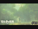 サクッとBotW【ゼルダの伝説BotW実況】#25