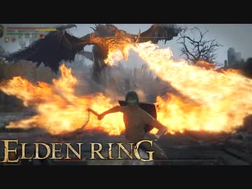 信仰技量の王となる。part _ 027【ELDENRING _ エルデンリング】