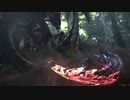 【初実況】MHXX part17