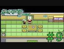 約18年振りにやるポケモンエメラルド　実況プレイpart9