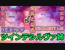 【痛部屋紹介２部屋目】27歳でこれをやる勇気はあるか？ツインテールシルヴァさんの大胆イメージチェンジ抱き枕カバーを紹介！抱いてやれよ。