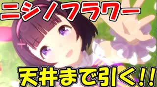 【ウマ娘】ニシノフラワーちゃんが可愛い過ぎるので天井まで引く!!【ガチャ開封】