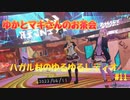 【NGS】ハガル村のゆるゆるレディオ #11 ゆかとマキさんのお茶会編