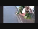 サダさんの歌ってみた 米津玄師「Lemon」