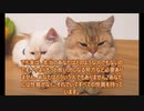 愛のために死す３６