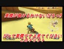 今更始めるマリオカート８DX実況 part 15