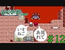 約18年振りにやるポケモンエメラルド　実況プレイpart12