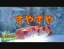 【プレイ動画】星のカービィ ディスカバリーで新たな