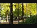【音楽と景観】東京緑地#18｢城北中央公園｣