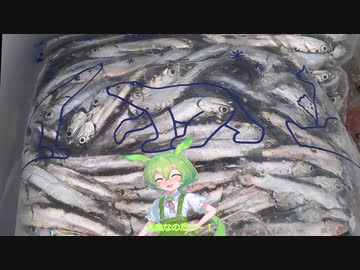 ずんだもんと釣りします【Ⅱ】サビキ釣り