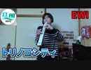 トリノコシティをEWIで演奏してみた【2番から】