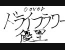 【弐】ドライフラワー ／ 優里 cover. by nao