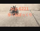 SCP-6221-歩く松ぼっくりNAMIについて説明します　【都市伝説・ホラー】【オリジナルSCP】