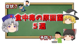 食中毒の原因菌５選！症状や予防などを解説！ノロウイルスからアニサキスまで毎年の患者数80％以上を網羅【ゆっくり解説】