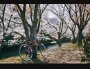 お花見サイクリング[ロードバイク]