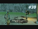 【ゼルダの伝説BotW】実況プレイ-part30-