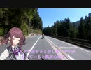 花梨先輩サメドする