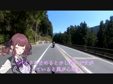 花梨先輩サメドする