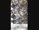 Chillout「春宵一刻 07」※01345-S