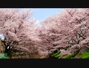 「何者」 Acoustic