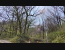 [登山] 上越・春日山城跡へ登る