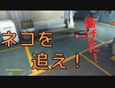 【フォールアウト４】逃げるアッシズを追え！【Vault81・ミニクエスト】