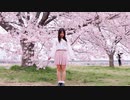 【ももかん】ハルイチ。 踊ってみた　【桜】