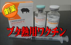 今度は「ブタ熱」　豚は木に登らず、熱を出す？　劇薬ワクチンを打たれるブタを食べますか？　農林水産省に電話で聞いてみた