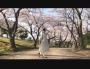 【ひかり.】春に一番近い街　踊ってみた