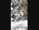 Chillout「春宵一刻 08」※01346-S