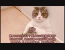 愛のために死す３８