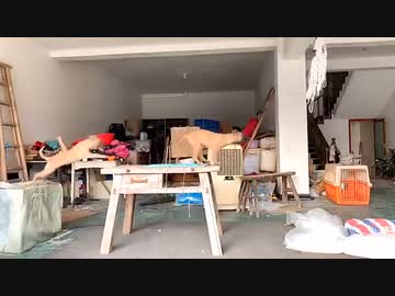 ホモと見る　ご主人が仕事に出掛けるとすぐに無法地帯と化す部屋