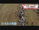 アレは獣の刻印なのか・・・？