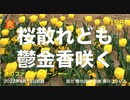 炎のファンドマネージャー　炎チャンネル第198回「桜散れども鬱金香咲く」　2022/4/13