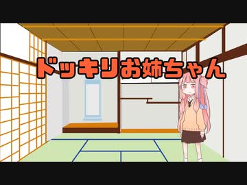 ドッキリお姉ちゃん