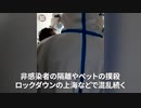 ▼統一大市場▼ペット撲殺▼ロックダウンは策略か▼コロナ禍で精神を蝕まれる▼法輪功学習者の解放求める▼犬は10分で身体の痛みを和らげる
