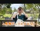 【こめ大臣】小悪魔だってかまわない！　踊ってみた