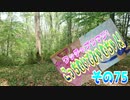 ワッチャプリマジ!こっちむいてみゃむちゃん!その75