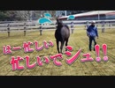 逃げ馬　シュシュブリーズ【リアダビ切り抜き】