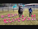 逃げ馬　シュシュブリーズ