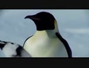 【疑似m@s】子・親・ペン・ギン - SHISHINPENGUIN -