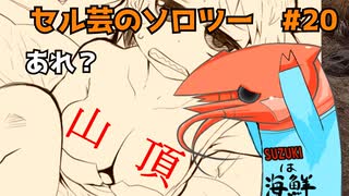 競芸の動画 #20【八重山】