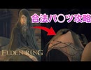 【エルデンリング】どうしてもフィア様のパンツを見たい男の末路【ELDEN RING】