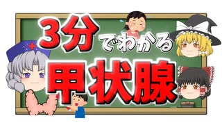 【3分でわかる】甲状腺って何？場所・機能・病気を解説【ゆっくり解説】