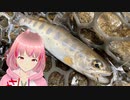 渓流で魚釣るの難しすぎるだろ！！！いい加減にしろ！！！！