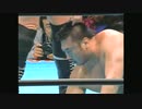 川田＆田上 vs. 殺人魚雷 93年5月20日 全日
